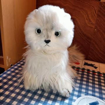 Witte langharige kat / poes knuffel 25 cm groot  beschikbaar voor biedingen