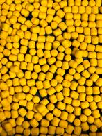 Wafters 16x13mm Sweetcorn Cream, Watersport en Boten, Ophalen of Verzenden, Nieuw