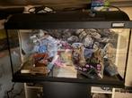 Aquarium met meubel, Ophalen, Gebruikt, Leeg aquarium