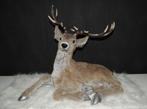 Prachtig groot Hert voor bij de Kerstboom, Diversen, Kerst, Ophalen of Verzenden, Nieuw