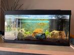 Aquarium met toebehoren incl vissen, Dieren en Toebehoren, Ophalen of Verzenden, Zo goed als nieuw, Gevuld zoetwateraquarium