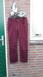 NIEUW! Super mooie broek van TCM, 42 Bordeaux, Kleding | Dames, Overige kleuren, Verzenden, Maat 42/44 (L), Zo goed als nieuw