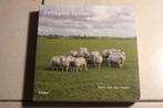 Schapen Tellen / Hans van der Meer, Boeken, Ophalen of Verzenden, Zo goed als nieuw