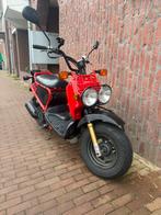Uitstekende Honda Zoomer 2011, Ophalen, Overige modellen, Maximaal 45 km/u, 49 cc