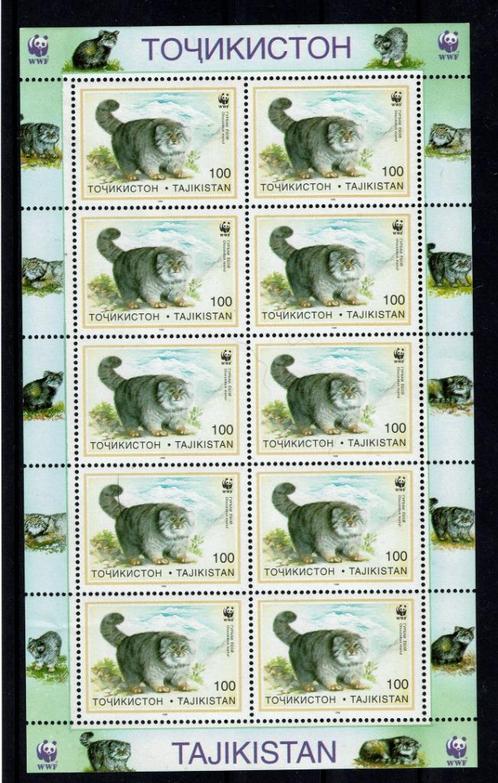 tadjikiztan pf wwf blok manul katachtige wildlife zoogdieren, Postzegels en Munten, Postzegels | Thematische zegels, Postfris