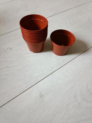 Kweekpotjes 6 cm beschikbaar voor biedingen