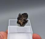 Zilver - Batopilas, Chihuahua, Mexico, Ophalen of Verzenden, Mineraal