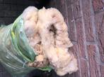 zakken met verse schapenwol  en wit   voor   spinnen   --wev, Hobby en Vrije tijd, Spinnewielen en Spinnen, Ophalen of Verzenden