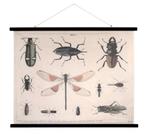HK Living insects school chart XL nieuw, Natuur en Biologie, Ophalen of Verzenden