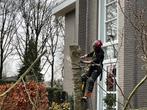 Treeworx boomverzorging, Garantie, Tuinonderhoud of Snoeiwerk