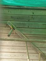 Elegant van 25, Meerdere dieren, Parkiet