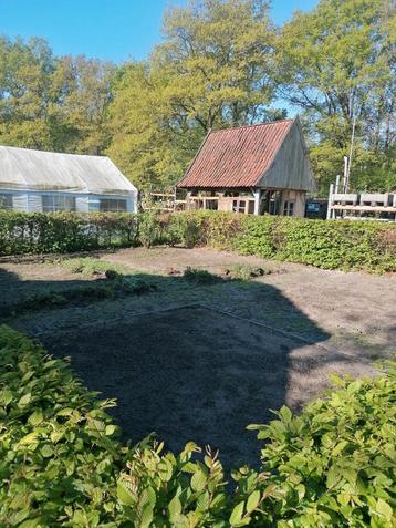 moestuin beschikbaar gratis: maar wel  bijhouden  beschikbaar voor biedingen