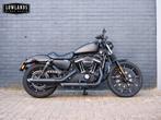 HARLEY-DAVIDSON SPORTSTER IRON XL 883 N (bj 2020), 2 cilinders, Bedrijf, 883 cc, Overig
