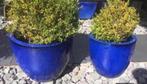 Twee grote terracotta tuin bloempotten blauw 40cm en 50cm, Tuin en Terras, Bloempotten, 40 cm of meer, Rond, Zo goed als nieuw