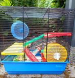 Kleine knaagdieren kooi, Dieren en Toebehoren, Knaagdieren en Konijnen | Hokken en Kooien, Minder dan 60 cm, Kooi, Minder dan 75 cm
