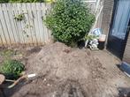 Op vul grond, Tuin en Terras, Zand, Ophalen of Verzenden, Gebruikt, Overige typen