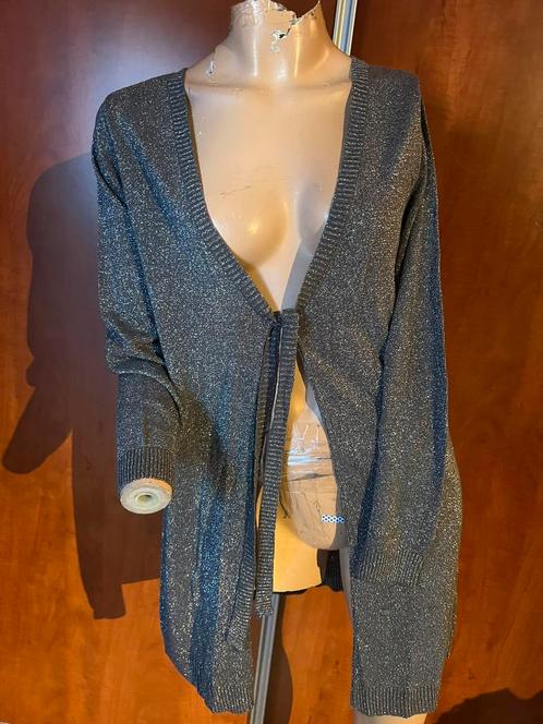 TAIFUN vest maat M origineel ZGAN GLANS, Kleding | Dames, Truien en Vesten, Zo goed als nieuw, Maat 38/40 (M), Grijs, Ophalen of Verzenden