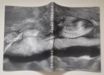 Michael Dweck - Mermaids - Koffietafelboek - 160 pag.- 2008, Fotografen, Michael Dweck, Verzenden, Nieuw