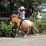 Ponyrijden, paardrijles, grondwerk mini manege, Diensten en Vakmensen