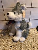 Mooie honden knuffel, Ophalen of Verzenden, Zo goed als nieuw, Hond