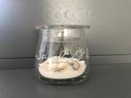 RIVIERA MAISON - windlicht/ glazen kandelaar SEA SHELLS, Ophalen, Overige materialen, Overige kleuren, Zo goed als nieuw