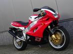 Bimota YB 11 SUPER LEGGERA (bj 2002), Motoren, Bedrijf, Sport, BIMOTA, 1000 cc