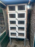 Mooie konijnen flat, Dieren en Toebehoren, Knaagdieren en Konijnen | Hokken en Kooien, 110 cm of meer, Verzenden, Zo goed als nieuw