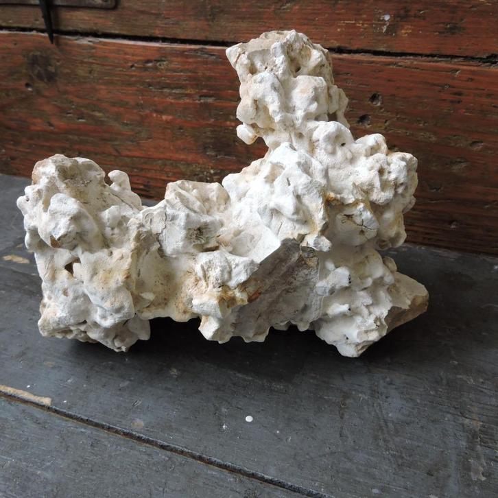 Mooi groot stuk gesteende laat-krijt concretie vuursteen, Verzamelen, Mineralen en Fossielen, Ophalen of Verzenden