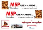 Vrachtauto decal 1:50 MSP uienhandel Nieuwdorp ( MAN ), Verzenden, Nieuw, Bus of Vrachtwagen, Overige merken