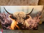 Canvas schotse hooglander €10,- afhaal, Huis en Inrichting, Woonaccessoires | Wanddecoraties, Ophalen, Zo goed als nieuw