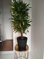 Plant+pot+tafeltje, Huis en Inrichting, Ophalen, Gebruikt