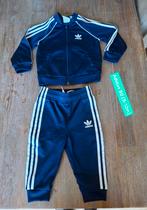 Adidas trainingspak/ blauwe Adidas 80 (9-12m), Kinderen en Baby's, Babykleding | Maat 80, Adidas, Jongetje of Meisje, Ophalen of Verzenden