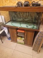 Aquarium Rio 180 met kast, Ophalen, Gebruikt, Leeg aquarium