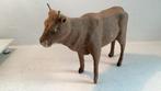 Koe antiek, Ophalen of Verzenden, Zo goed als nieuw