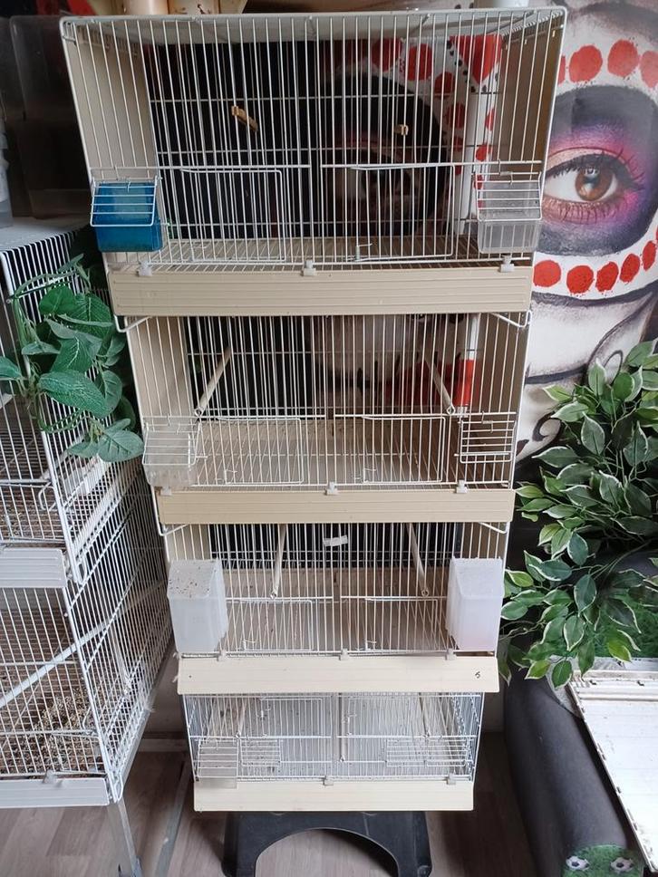 4 losse kanarie broedkooien, Dieren en Toebehoren, Vogels | Hokken en Kooien, Broedkooi of Kweekkooi, Hout, Ophalen of Verzenden