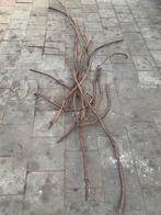 Druiven tak - decoratie - bloemstuk, Ophalen, Zo goed als nieuw