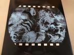 Holy Moses  – Roadcrew pic-lp, Verzenden, Zo goed als nieuw