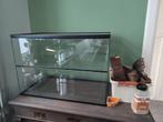Glazen hamster of gerbil verblijf 75x40x50, Minder dan 75 cm, Zo goed als nieuw, Ophalen, Minder dan 60 cm