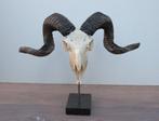 RAM SCHEDEL op hardstenen sokkel - ref. K (gewei), Ophalen of Verzenden, Nieuw, Boerderijdier, Schedel