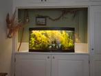 Groot Juwel Aquarium, Dieren en Toebehoren, Ophalen, Zo goed als nieuw, Gevuld zoetwateraquarium