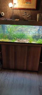 Aquarium juwel Rio 180, Dieren en Toebehoren, Ophalen, Gebruikt, Leeg aquarium