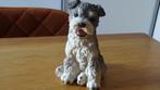 Honden Beeldje Van Polystone., Ophalen of Verzenden, Zo goed als nieuw, Dier