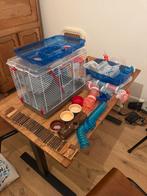 Twee hamsterkooien met veel accesoires, Dieren en Toebehoren, Knaagdieren en Konijnen | Hokken en Kooien, Minder dan 60 cm, Kooi