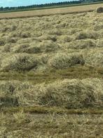 Graszaadhooi hooi balen paardenhooi, Dieren en Toebehoren, Ophalen, Vee
