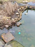 Bentheimer stenen, Ophalen of Verzenden