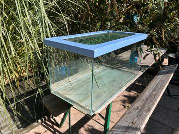 Terrarium / hamsterkooi 80x40x40 voor knaagdieren/reptielen beschikbaar voor biedingen
