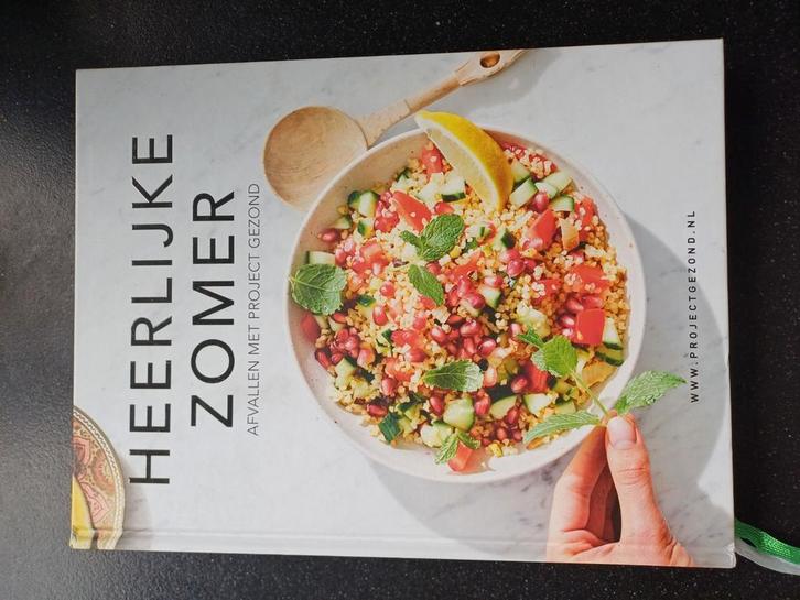 Heerlijke zomer project gezond, Boeken, Gezondheid, Dieet en Voeding, Zo goed als nieuw, Ophalen of Verzenden