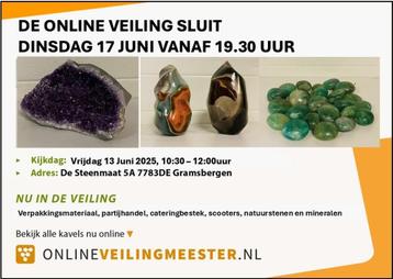 Veel soorten natuur mineraalstenen aangeboden in veiling beschikbaar voor biedingen