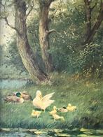 Jeroen Damstra, eenden bij een plas, Ophalen