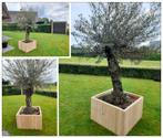Bloembak, plantenbak, moestuinbak, kas NIEUW op maat., Minder dan 60 cm, Rond, Nieuw, Ophalen of Verzenden